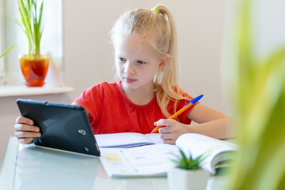 ¿Cómo son en realidad las clases virtuales en colegios bogotanos?