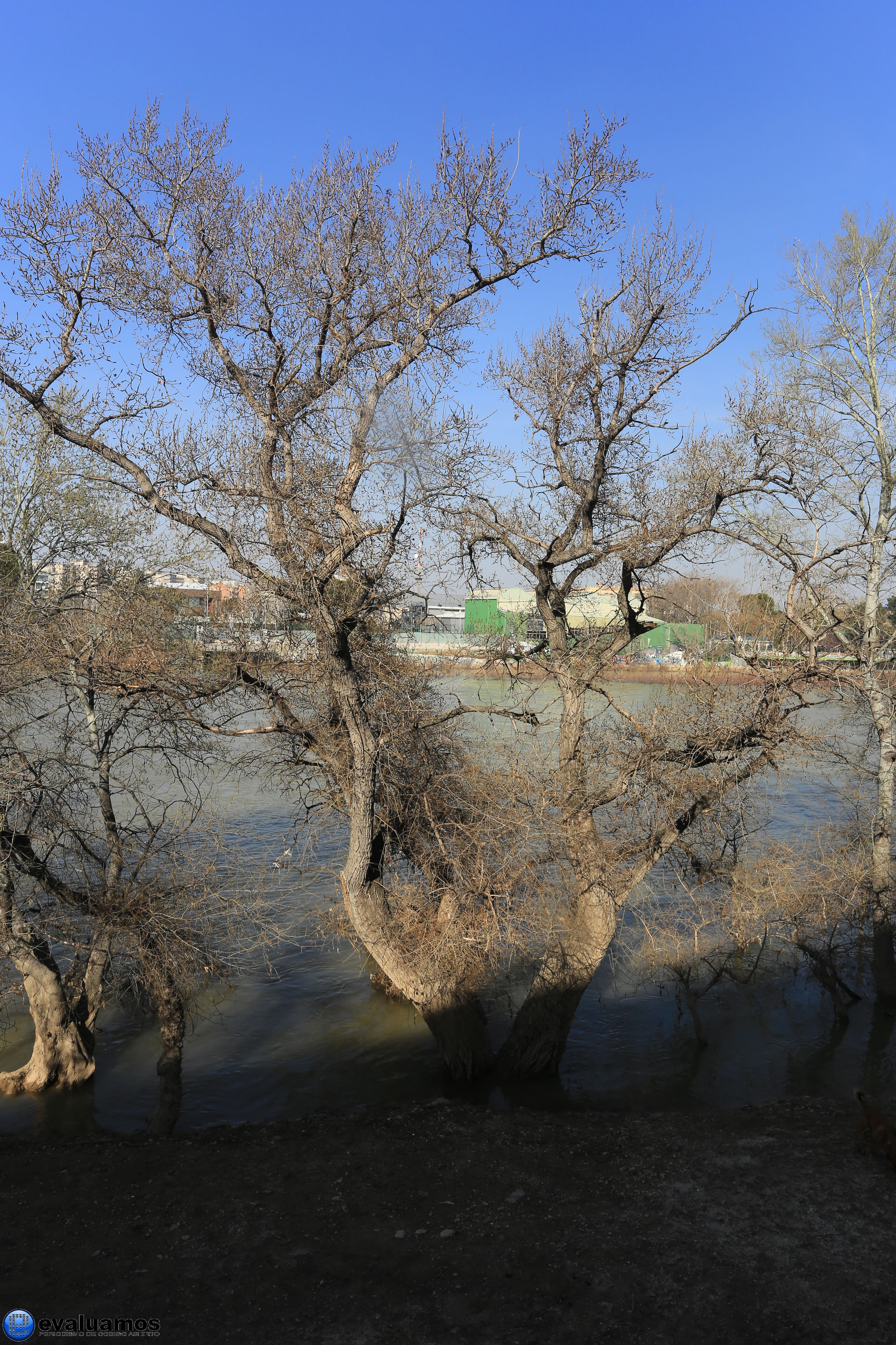 Paisaje cerca a Zaragoza