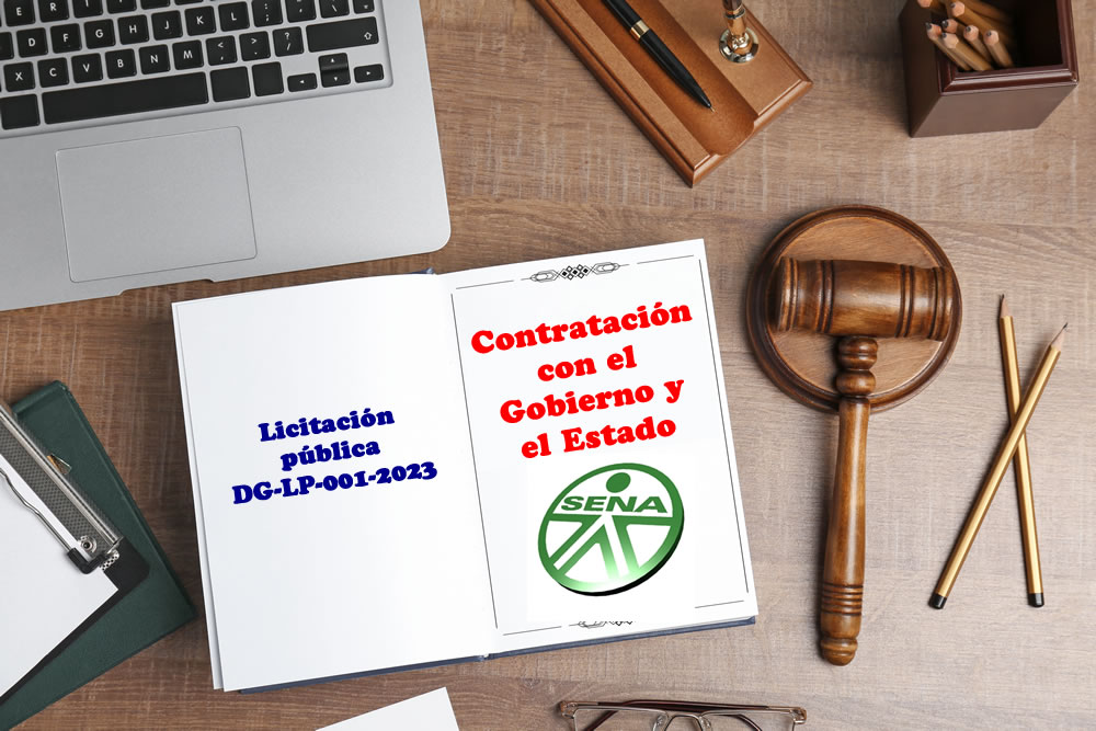 Interesante crónica del contrato y de la licitación del Sena