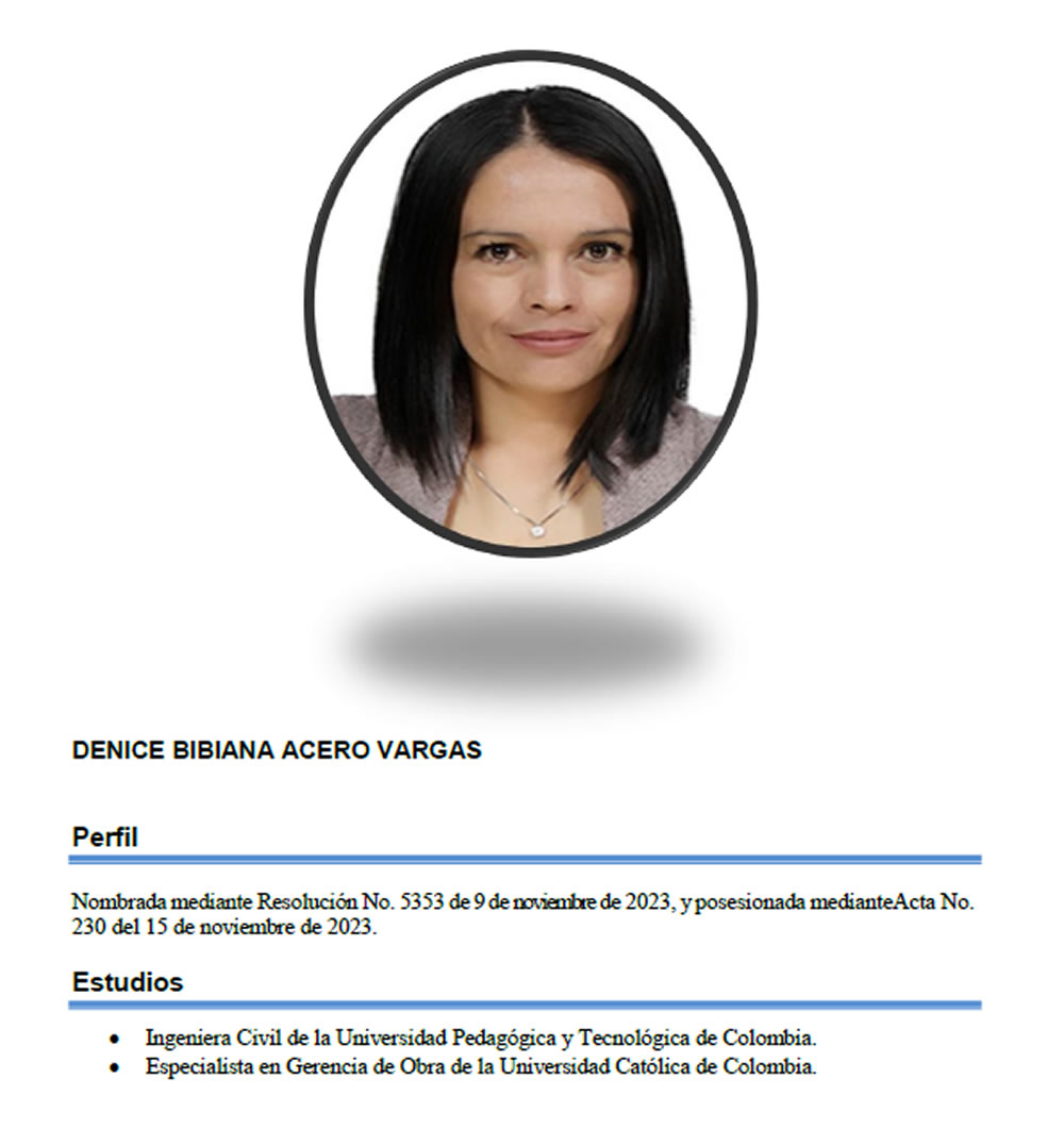 Denice Bibiana Acero Vargas sería la nueva directora de Infraestructura de MinTIC