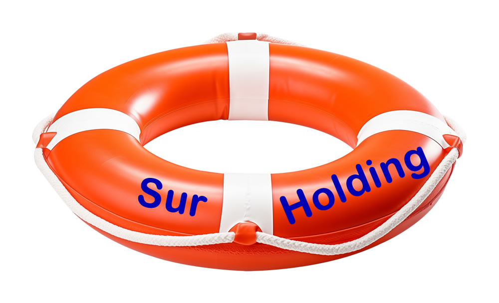 Sur Holdings invierte y salva a Wom Colombia, ya controla a la empresa en reorganización