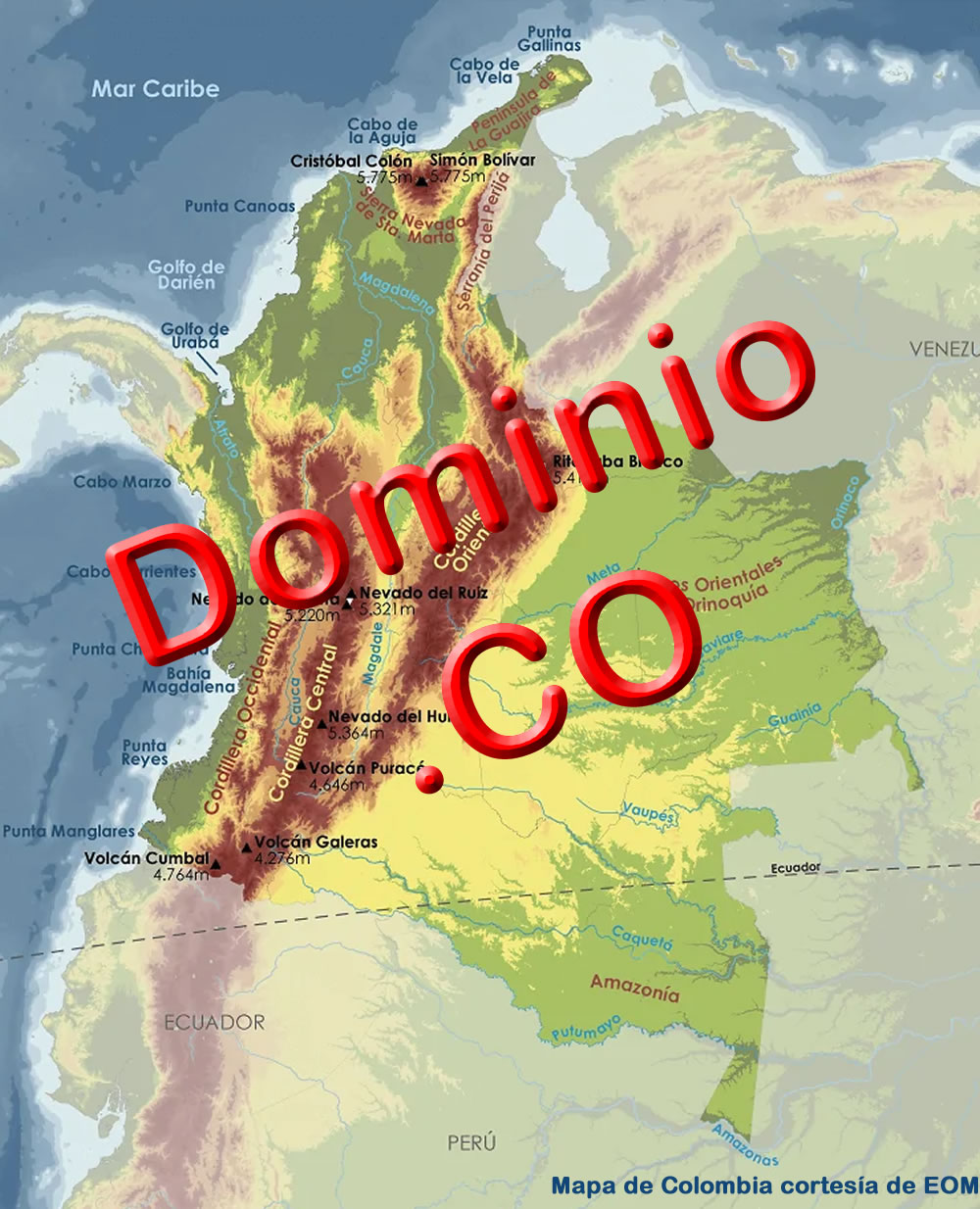 MinTIC recibe cuatro ofertas para manejar dominio .CO 